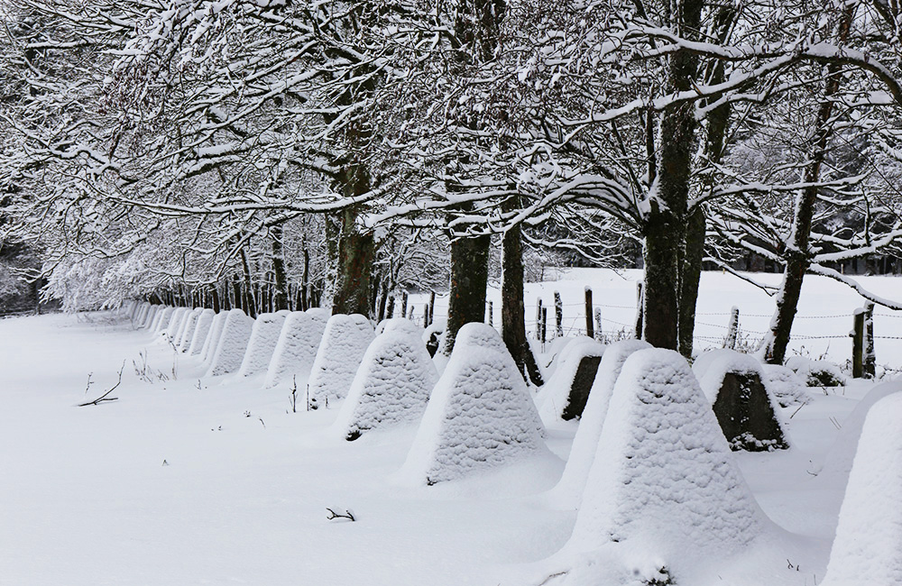 Siegfried line in winter Siegfried line in winter
