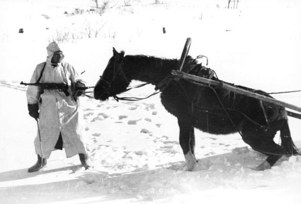 Which World War II combatant nation had the most horses in its military? (Not necessarily depicted in the photo.)