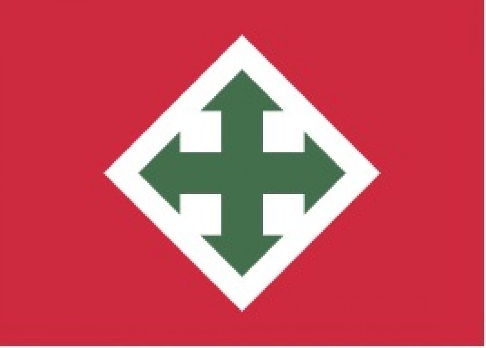 Which nation’s local Nazi-aligned far right political party used this symbol?