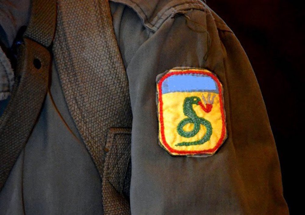 Which nation sent a division-sized expeditionary force named 