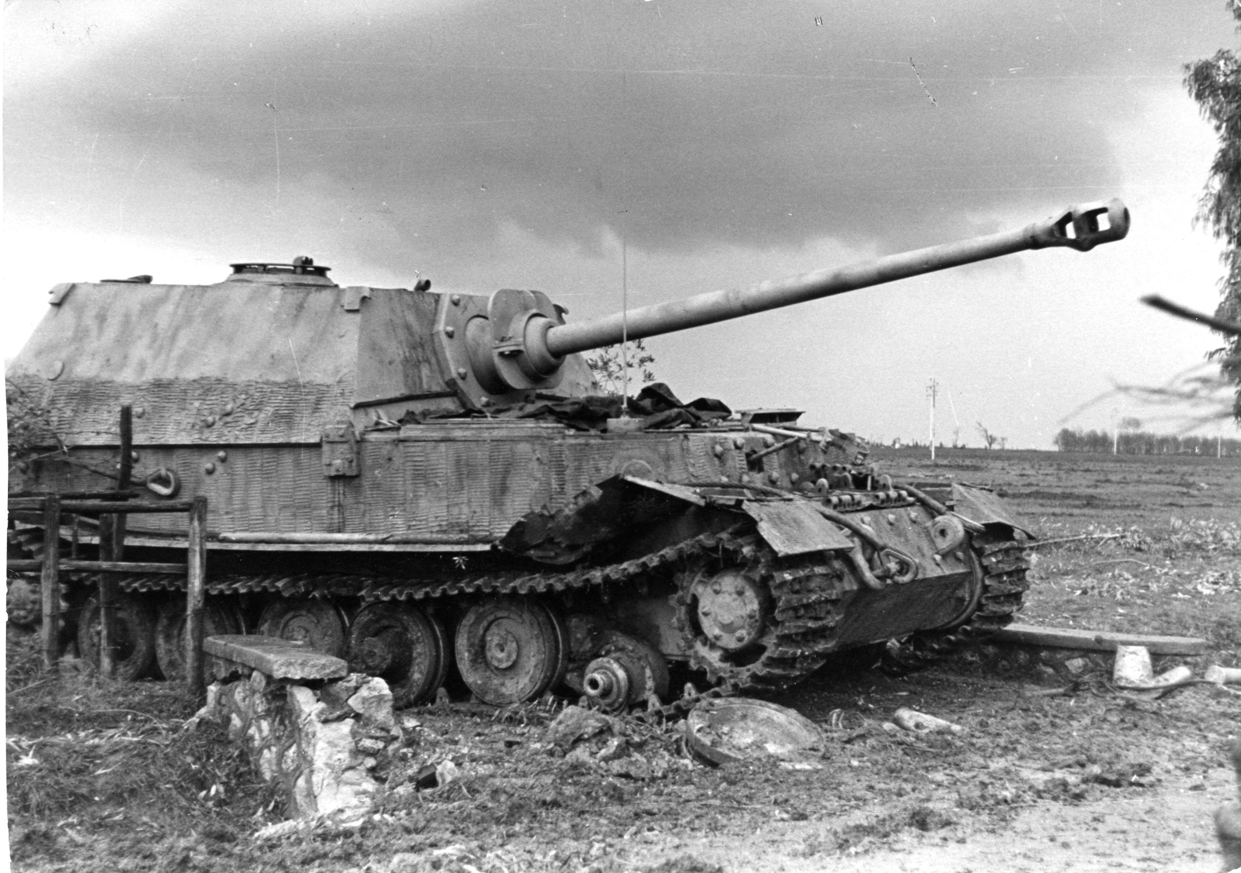 Where did the German Ferdinand (later Elefant) heavy tank destroyer first see action (almost all Ferdinands ever produced were deployed there)?