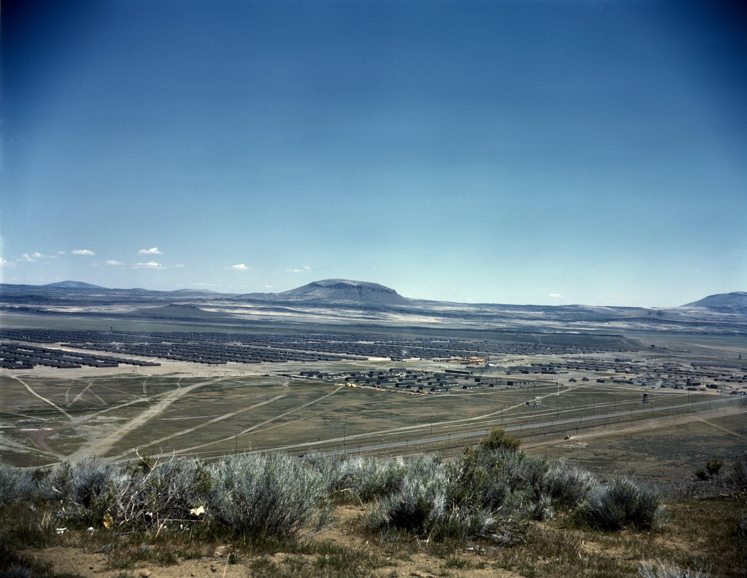 In which internment camp did thousands of interned Japanese-Americans hold a peaceful protest in November 1943, trapping the War Location Director inside a building until he agreed to hear their grievances?