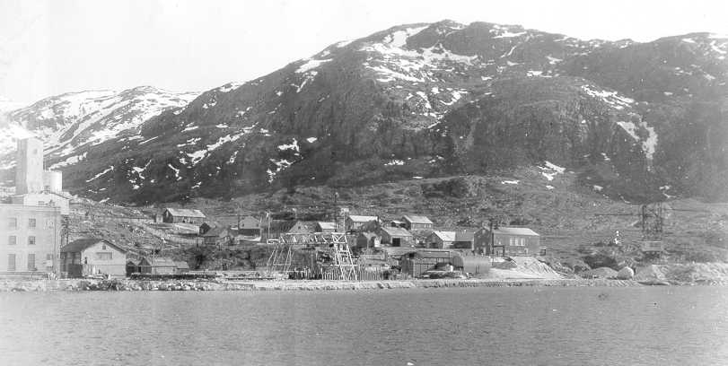 What type of war production relied greatly on raw materials from Greenland during World War II?