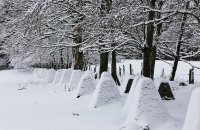 Siegfried line in winter